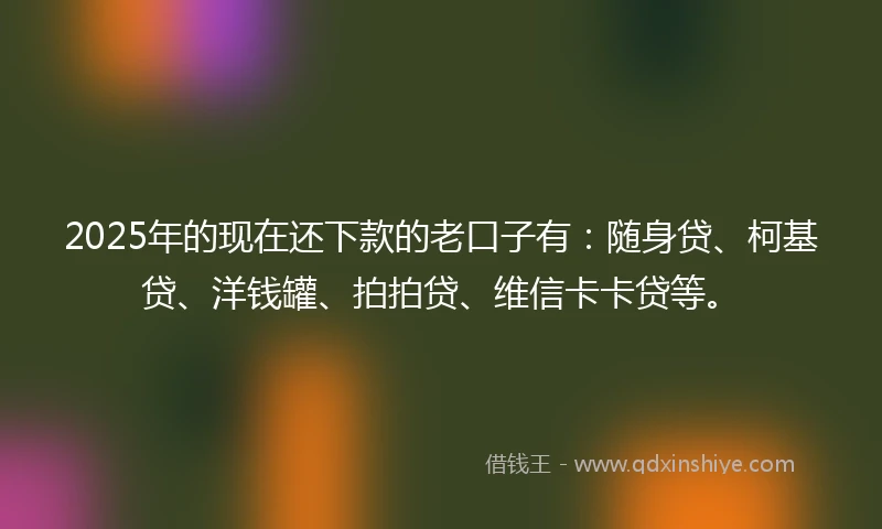 2025年的现在还下款的老口子有：随身贷、柯基贷、洋钱罐、拍拍贷、维信卡卡贷等。