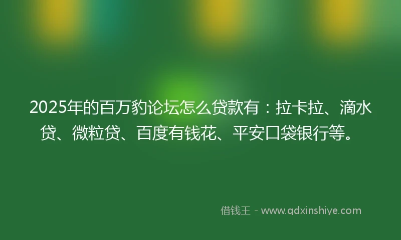 2025年的百万豹论坛怎么贷款有：拉卡拉、滴水贷、微粒贷、百度有钱花、平安口袋银行等。