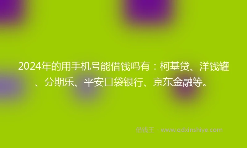 2024年的用手机号能借钱吗有：柯基贷、洋钱罐、分期乐、平安口袋银行、京东金融等。