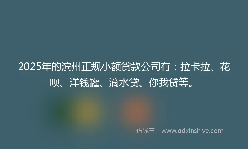 2025年的滨州正规小额贷款公司有：拉卡拉、花呗、洋钱罐、滴水贷、你我贷等。
