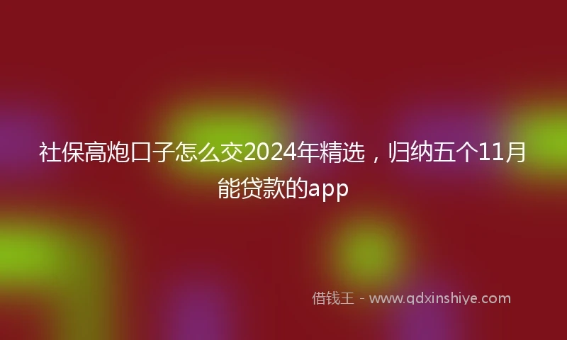 社保高炮口子怎么交2024年精选，归纳五个11月能贷款的app