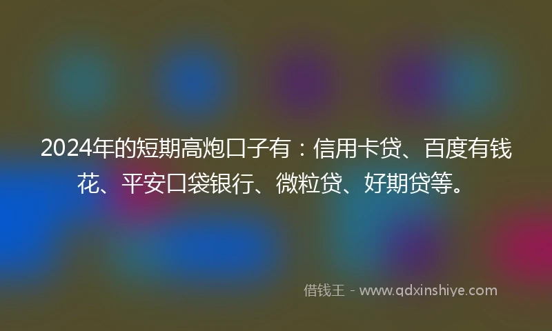 2024年的短期高炮口子有：信用卡贷、百度有钱花、平安口袋银行、微粒贷、好期贷等。