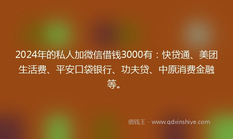 2024年的私人加微信借钱3000有：快贷通、美团生活费、平安口袋银行、功夫贷、中原消费金融等。
