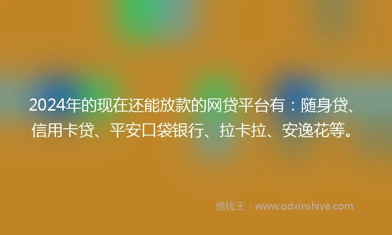 2024年的现在还能放款的网贷平台有：随身贷、信用卡贷、平安口袋银行、拉卡拉、安逸花等。