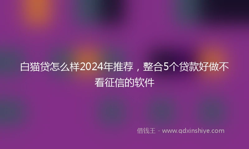 白猫贷怎么样2024年推荐，整合5个贷款好做不看征信的软件