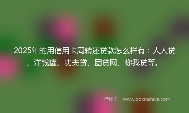 2025年的用信用卡周转还贷款怎么样有：人人贷、洋钱罐、功夫贷、团贷网、你我贷等。
