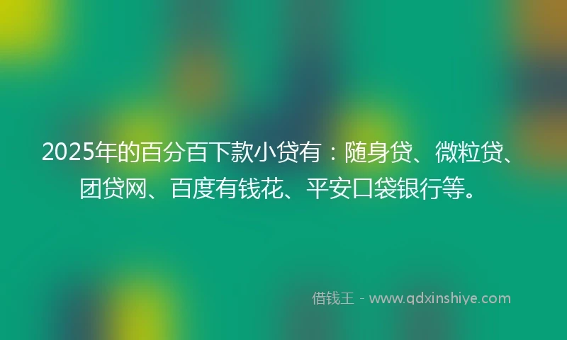 2025年的百分百下款小贷有：随身贷、微粒贷、团贷网、百度有钱花、平安口袋银行等。
