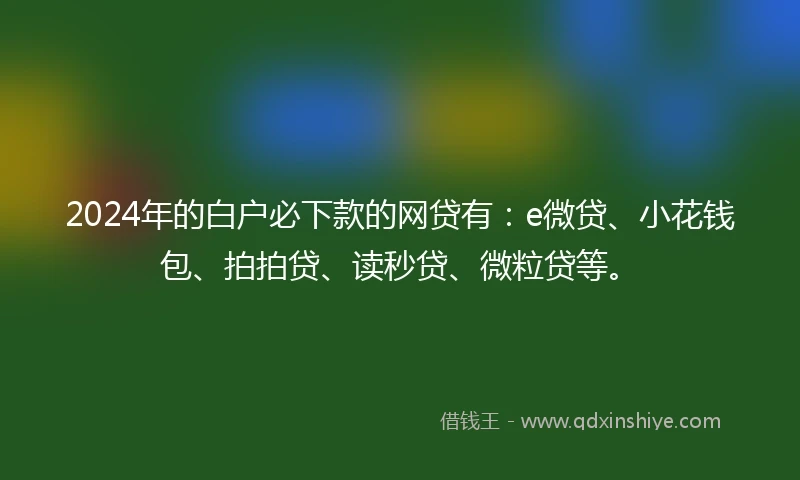 2024年的白户必下款的网贷有：e微贷、小花钱包、拍拍贷、读秒贷、微粒贷等。