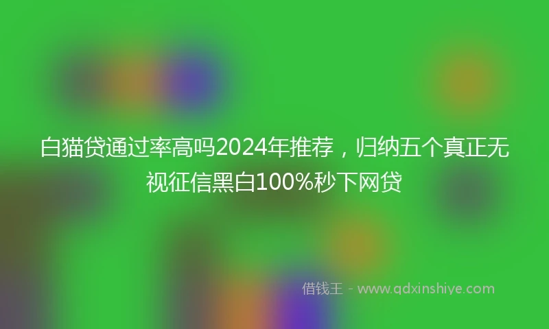 白猫贷通过率高吗2024年推荐，归纳五个真正无视征信黑白100%秒下网贷
