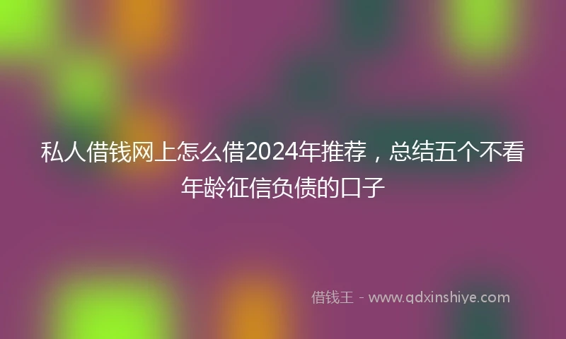 私人借钱网上怎么借2024年推荐，总结五个不看年龄征信负债的口子