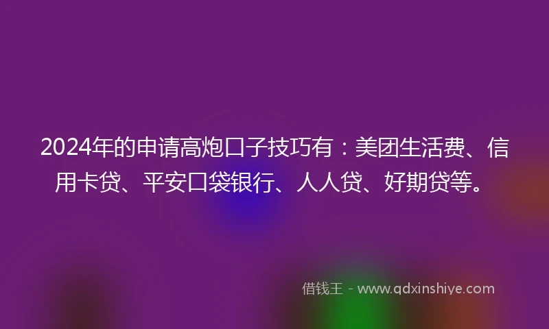 2024年的申请高炮口子技巧有：美团生活费、信用卡贷、平安口袋银行、人人贷、好期贷等。