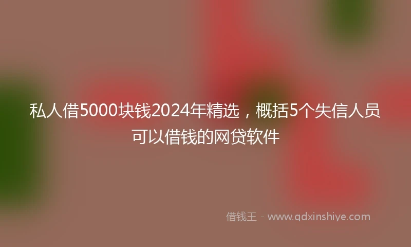 私人借5000块钱2024年精选，概括5个失信人员可以借钱的网贷软件