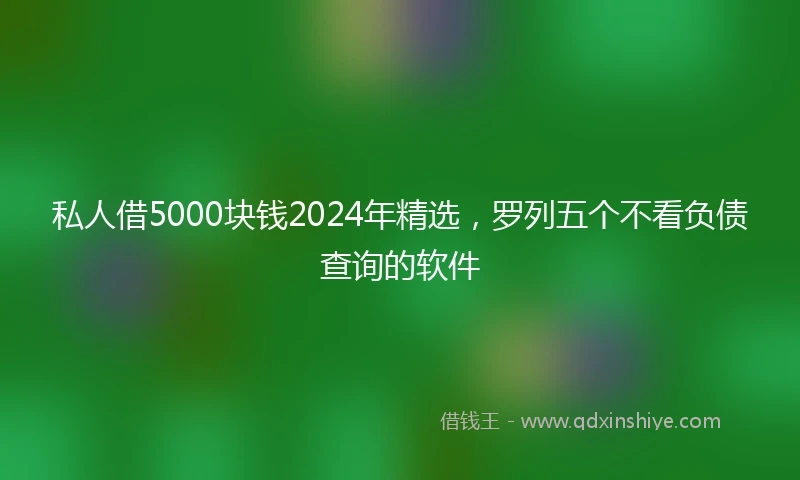 私人借5000块钱2024年精选，罗列五个不看负债查询的软件