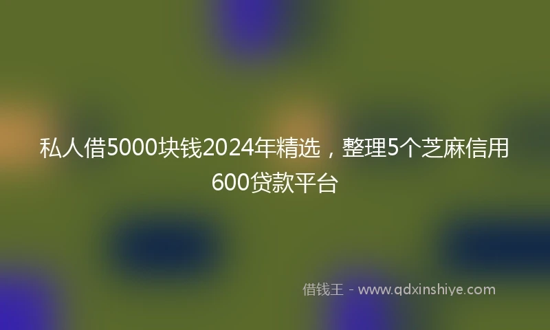私人借5000块钱2024年精选，整理5个芝麻信用600贷款平台