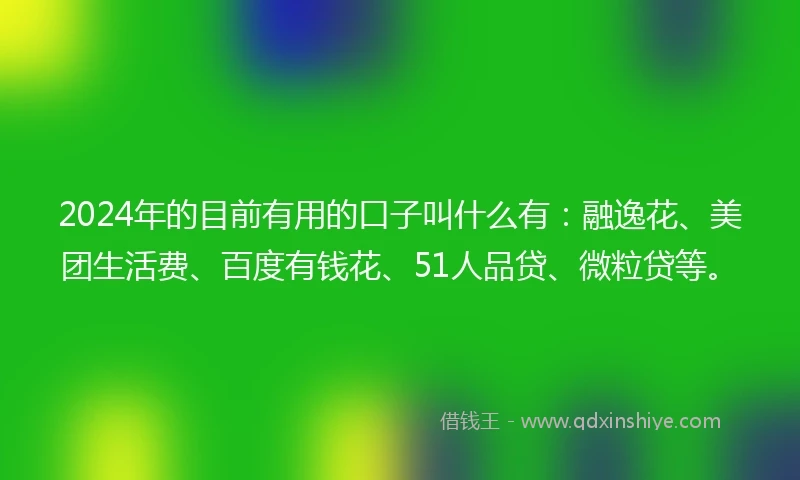 2024年的目前有用的口子叫什么有：融逸花、美团生活费、百度有钱花、51人品贷、微粒贷等。
