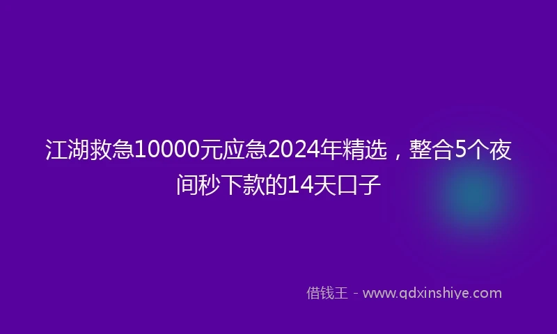 江湖救急10000元应急2024年精选，整合5个夜间秒下款的14天口子