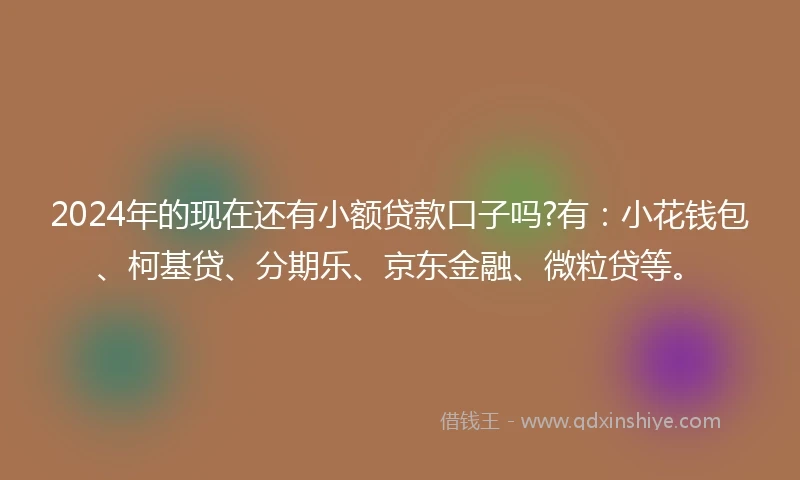 2024年的现在还有小额贷款口子吗?有：小花钱包、柯基贷、分期乐、京东金融、微粒贷等。