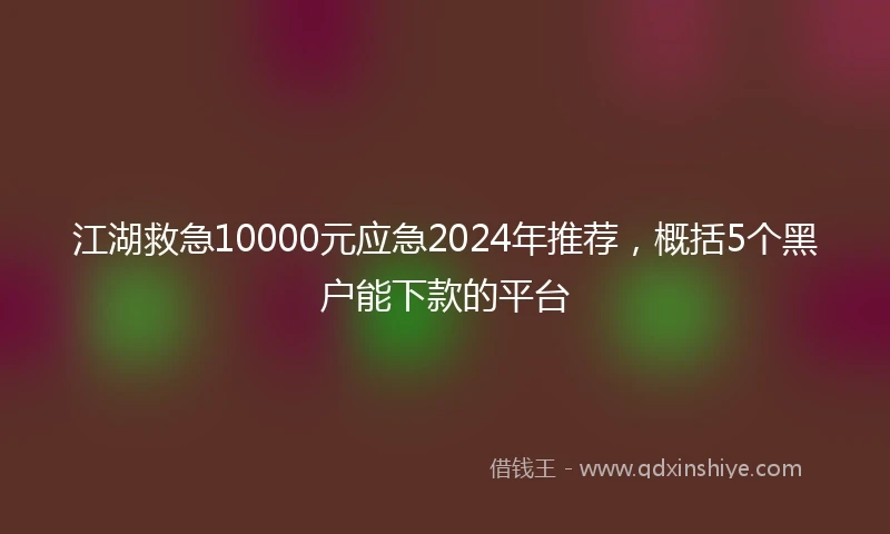 江湖救急10000元应急2024年推荐，概括5个黑户能下款的平台