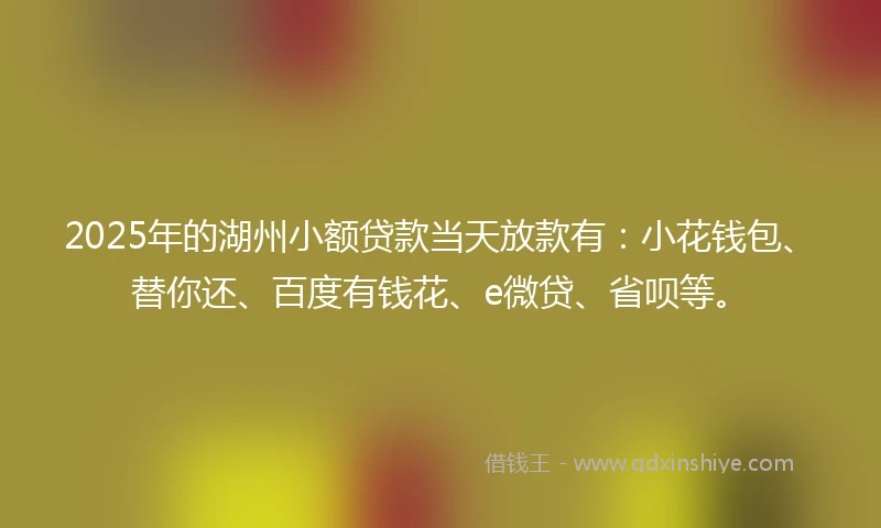 2025年的湖州小额贷款当天放款有：小花钱包、替你还、百度有钱花、e微贷、省呗等。