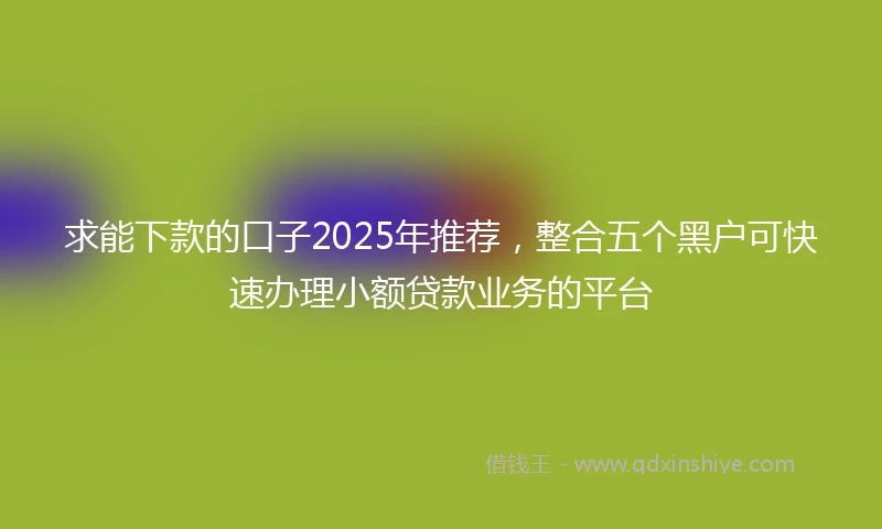 求能下款的口子2025年推荐，整合五个黑户可快速办理小额贷款业务的平台