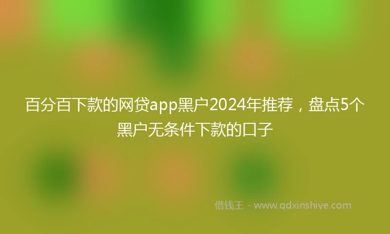 百分百下款的网贷app黑户2024年推荐，盘点5个黑户无条件下款的口子