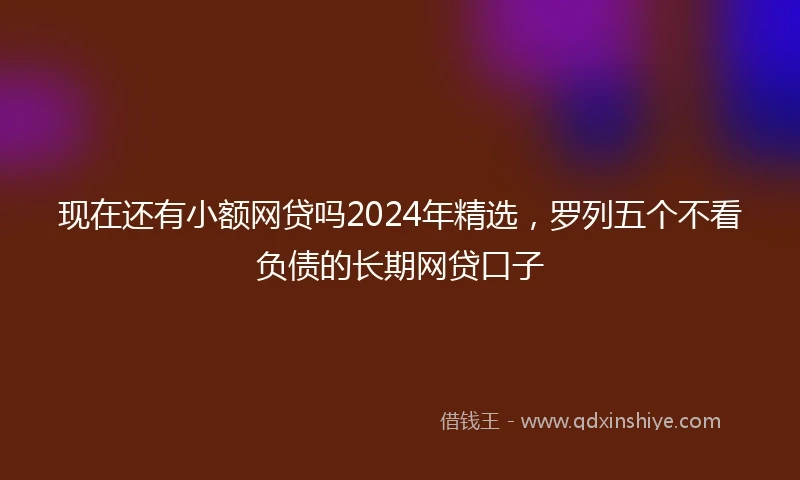 现在还有小额网贷吗2024年精选，罗列五个不看负债的长期网贷口子