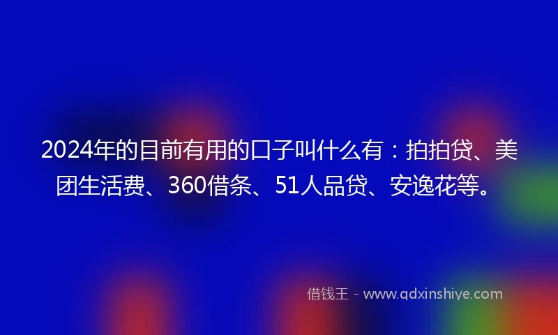 2024年的目前有用的口子叫什么有：拍拍贷、美团生活费、360借条、51人品贷、安逸花等。