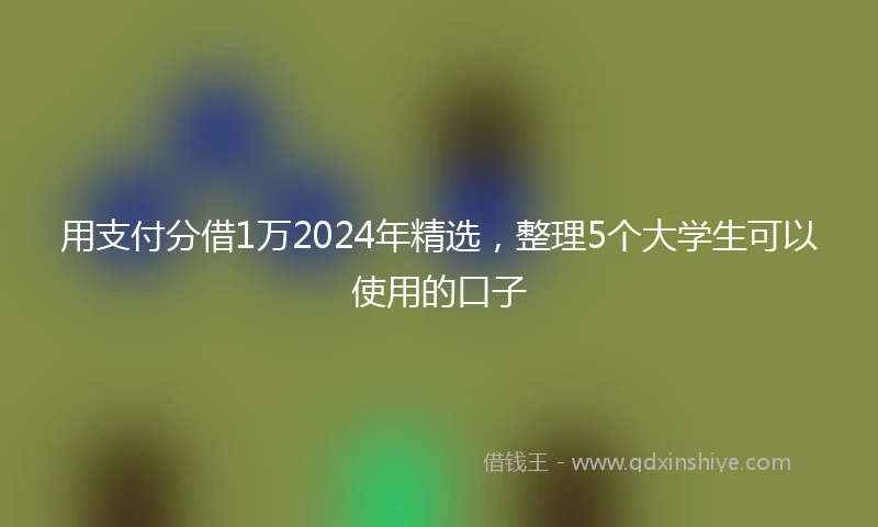 用支付分借1万2024年精选，整理5个大学生可以使用的口子