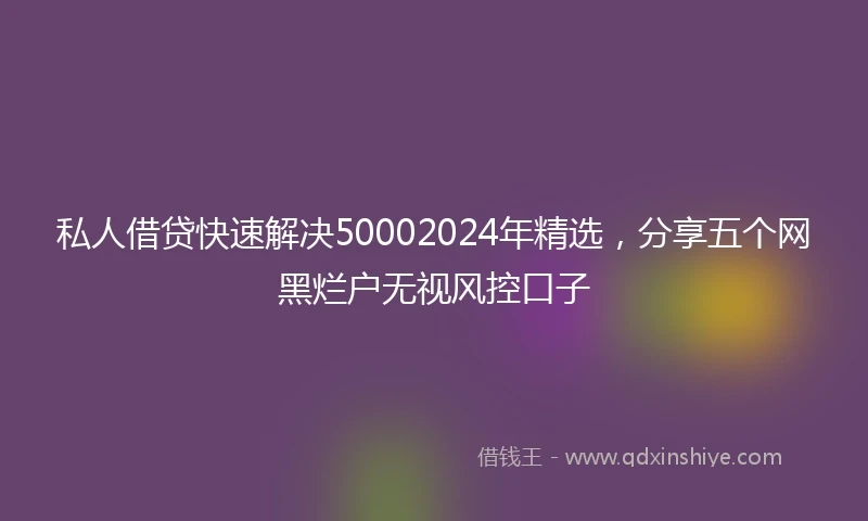 私人借贷快速解决50002024年精选，分享五个网黑烂户无视风控口子