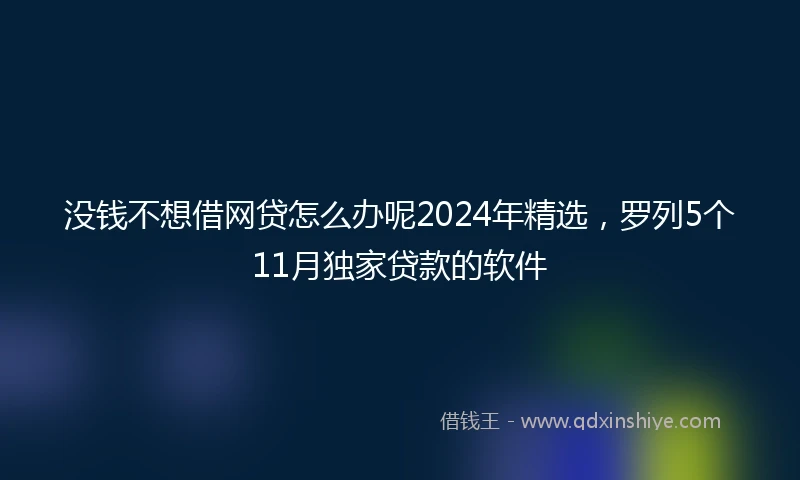 没钱不想借网贷怎么办呢2024年精选，罗列5个11月独家贷款的软件