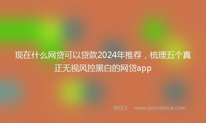 现在什么网贷可以贷款2024年推荐，梳理五个真正无视风控黑白的网贷app
