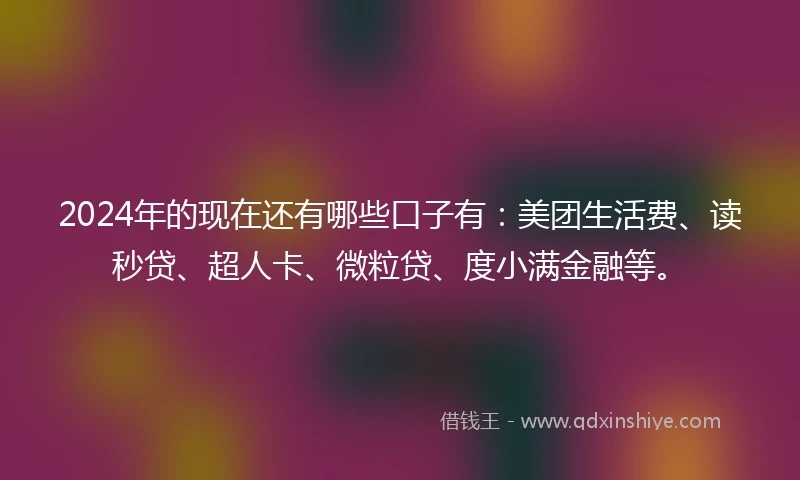 2024年的现在还有哪些口子有：美团生活费、读秒贷、超人卡、微粒贷、度小满金融等。