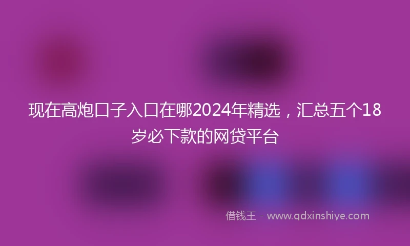 现在高炮口子入口在哪2024年精选，汇总五个18岁必下款的网贷平台