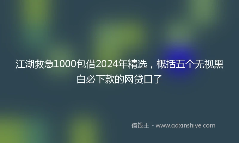 江湖救急1000包借2024年精选，概括五个无视黑白必下款的网贷口子