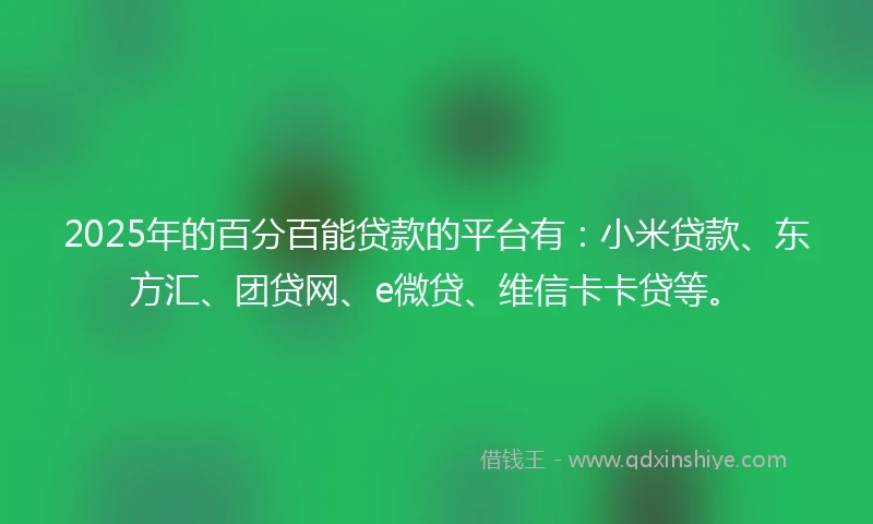 2025年的百分百能贷款的平台有：小米贷款、东方汇、团贷网、e微贷、维信卡卡贷等。