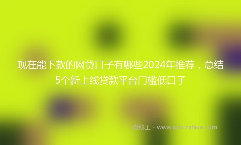 现在能下款的网贷口子有哪些2024年推荐，总结5个新上线贷款平台门槛低口子