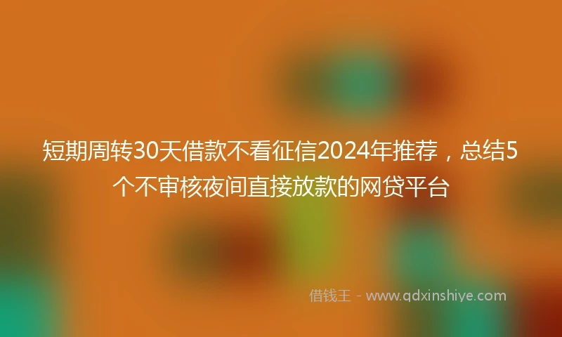 短期周转30天借款不看征信2024年推荐，总结5个不审核夜间直接放款的网贷平台