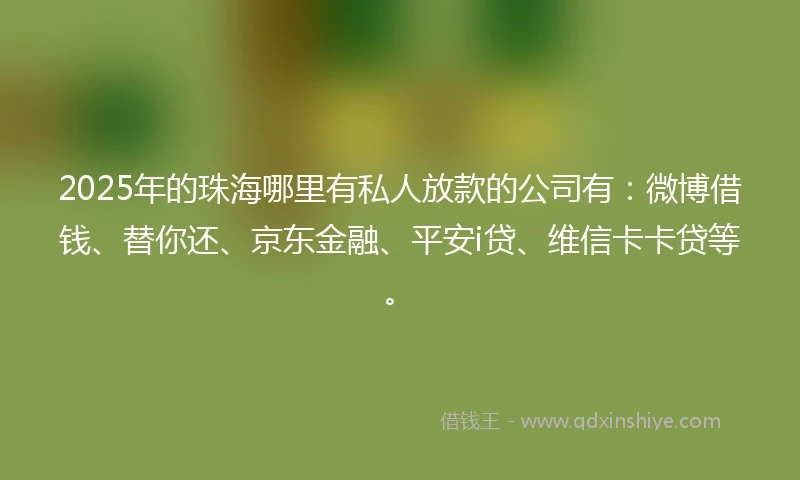 2025年的珠海哪里有私人放款的公司有：微博借钱、替你还、京东金融、平安i贷、维信卡卡贷等。