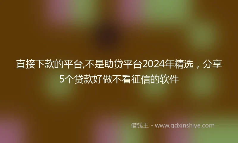 直接下款的平台,不是助贷平台2024年精选，分享5个贷款好做不看征信的软件