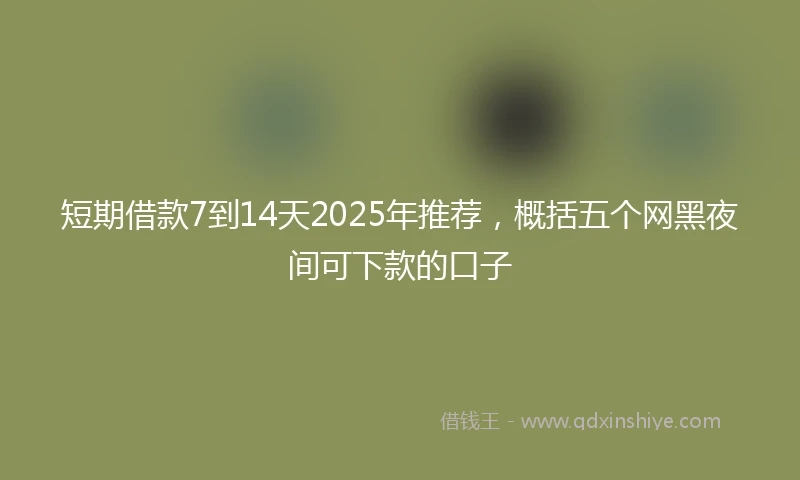 短期借款7到14天2025年推荐，概括五个网黑夜间可下款的口子