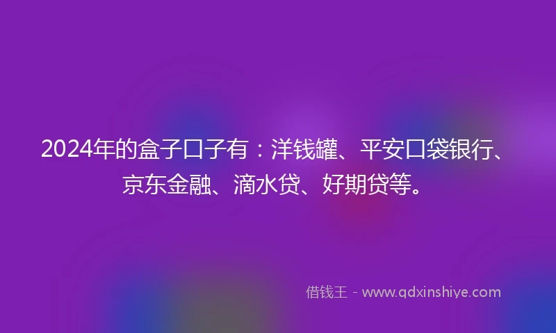 2024年的盒子口子有：洋钱罐、平安口袋银行、京东金融、滴水贷、好期贷等。