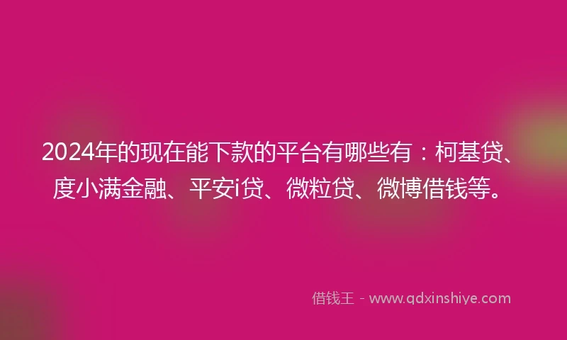 2024年的现在能下款的平台有哪些有：柯基贷、度小满金融、平安i贷、微粒贷、微博借钱等。