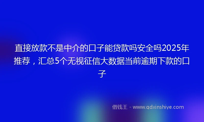 直接放款不是中介的口子能贷款吗安全吗2025年推荐，汇总5个无视征信大数据当前逾期下款的口子