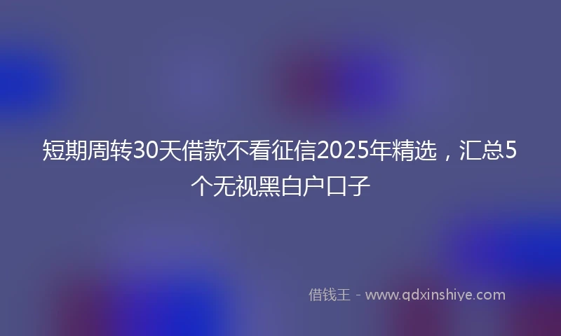 短期周转30天借款不看征信2025年精选，汇总5个无视黑白户口子