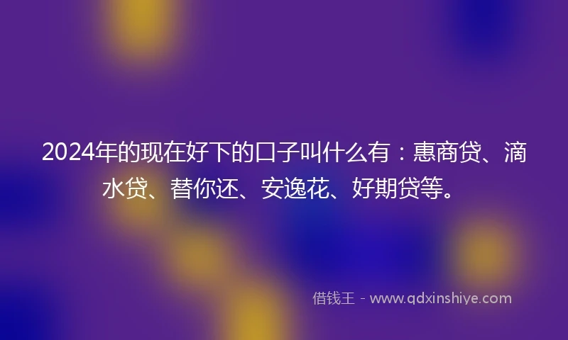 2024年的现在好下的口子叫什么有：惠商贷、滴水贷、替你还、安逸花、好期贷等。