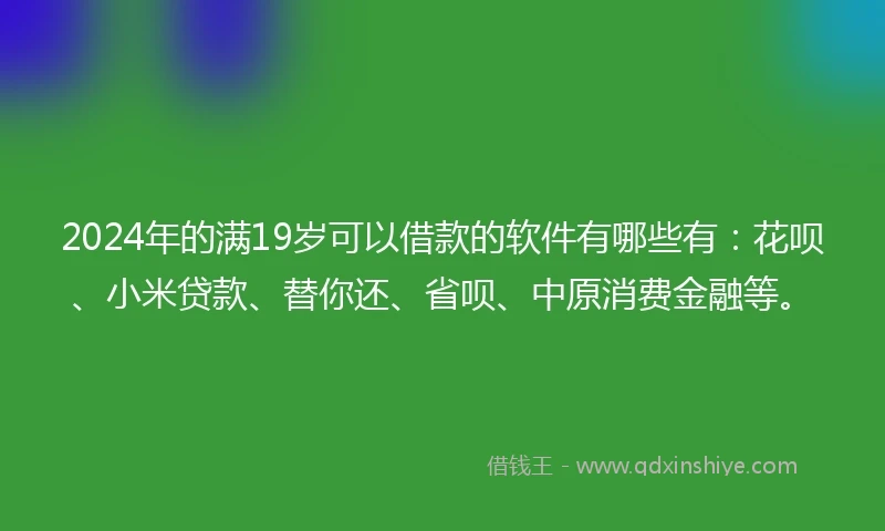 2024年的满19岁可以借款的软件有哪些有：花呗、小米贷款、替你还、省呗、中原消费金融等。
