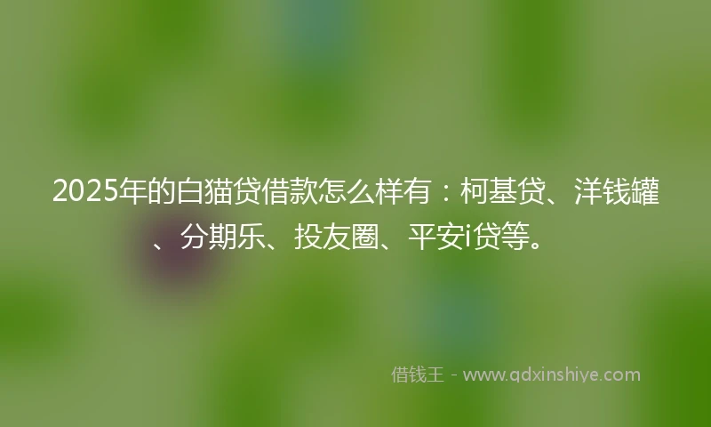 2025年的白猫贷借款怎么样有：柯基贷、洋钱罐、分期乐、投友圈、平安i贷等。