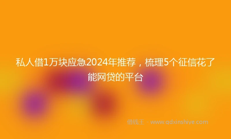 私人借1万块应急2024年推荐，梳理5个征信花了能网贷的平台