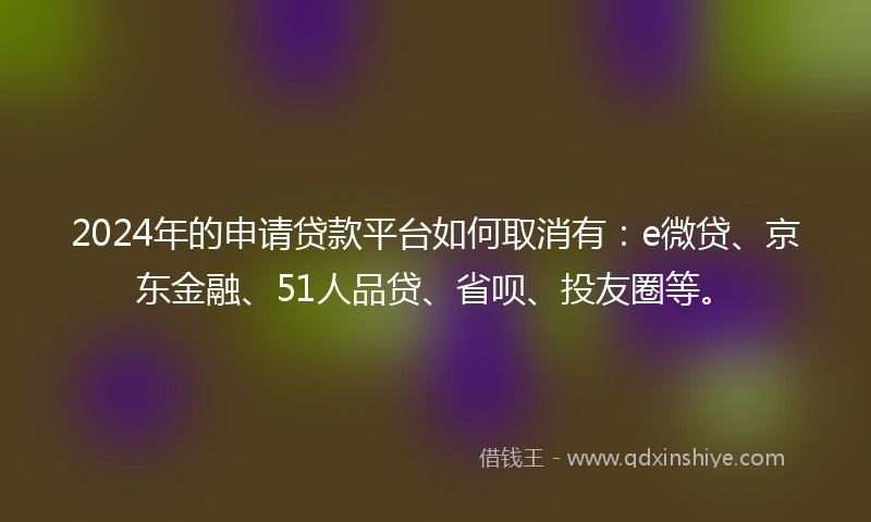 2024年的申请贷款平台如何取消有：e微贷、京东金融、51人品贷、省呗、投友圈等。