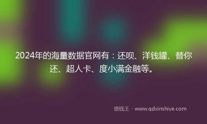 2024年的海量数据官网有：还呗、洋钱罐、替你还、超人卡、度小满金融等。